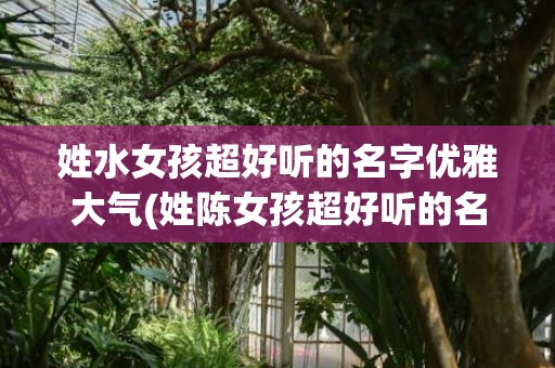 姓水女孩超好听的名字优雅大气(姓陈女孩超好听的名字)