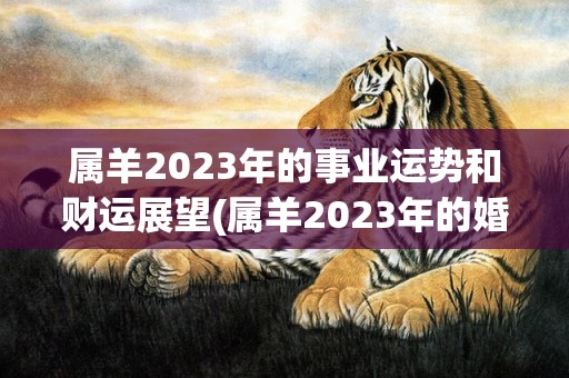 属羊2023年的事业运势和财运展望(属羊2023年的婚姻)