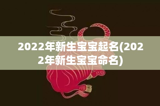 2022年新生宝宝起名(2022年新生宝宝命名)