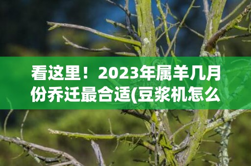 看这里！2023年属羊几月份乔迁最合适(豆浆机怎么打果汁 详细步骤看这里)
