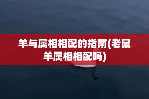羊与属相相配的指南(老鼠羊属相相配吗)
