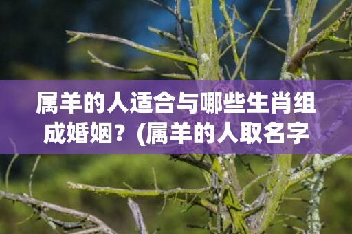 属羊的人适合与哪些生肖组成婚姻？(属羊的人取名字用什么字好)