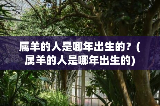 属羊的人是哪年出生的？(属羊的人是哪年出生的)