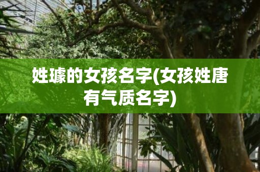 姓璩的女孩名字(女孩姓唐有气质名字)