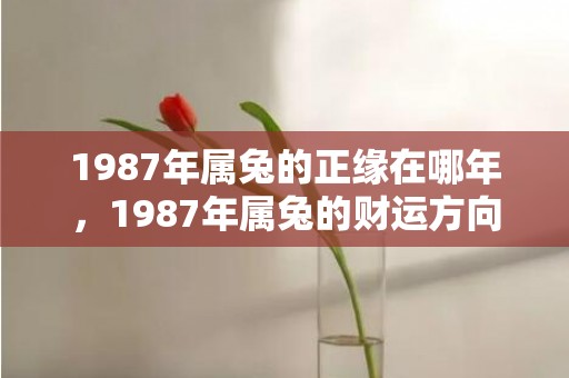 1987年属兔的正缘在哪年，1987年属兔的财运方向 戴什么饰品可以发财