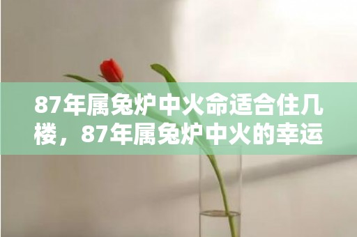 87年属兔炉中火命适合住几楼，87年属兔炉中火的幸运色 发财色是什么颜色
