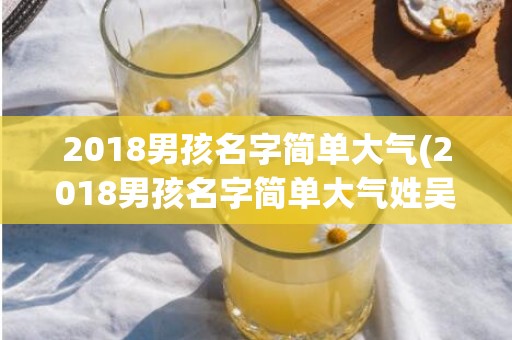 2018男孩名字简单大气(2018男孩名字简单大气姓吴)