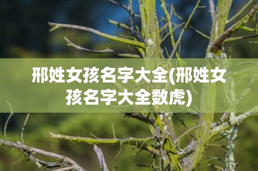 邢姓女孩名字大全(邢姓女孩名字大全数虎)