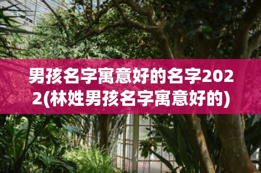 男孩名字寓意好的名字2022(林姓男孩名字寓意好的)