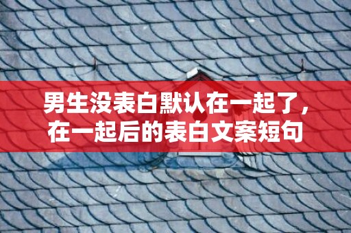 男生没表白默认在一起了，在一起后的表白文案短句
