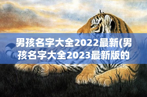 男孩名字大全2022最新(男孩名字大全2023最新版的属鸡)
