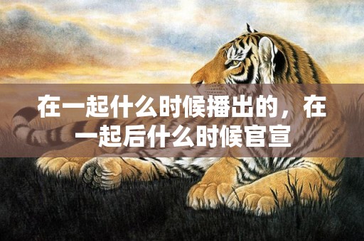 在一起什么时候播出的，在一起后什么时候官宣