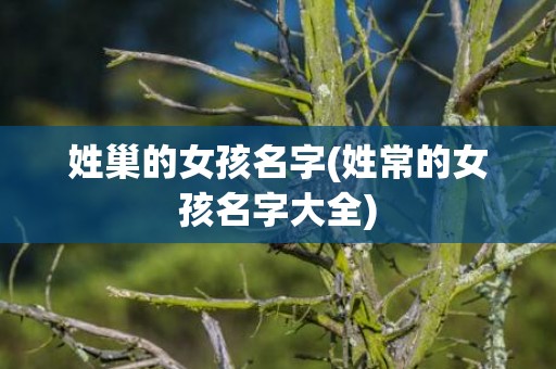 姓巢的女孩名字(姓常的女孩名字大全)