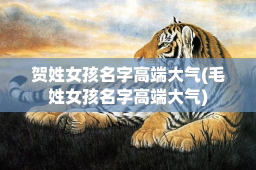 贺姓女孩名字高端大气(毛姓女孩名字高端大气)