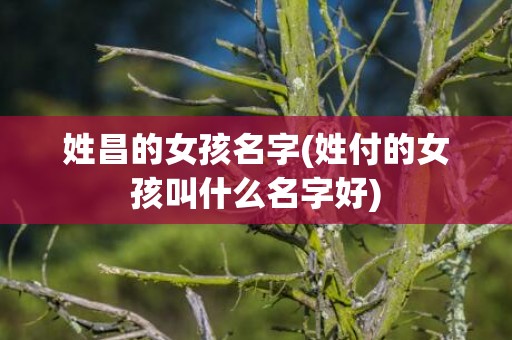 姓昌的女孩名字(姓付的女孩叫什么名字好)
