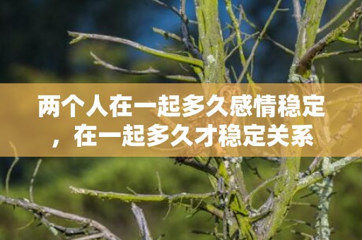 两个人在一起多久感情稳定，在一起多久才稳定关系