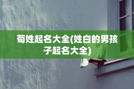 荀姓起名大全(姓白的男孩子起名大全)