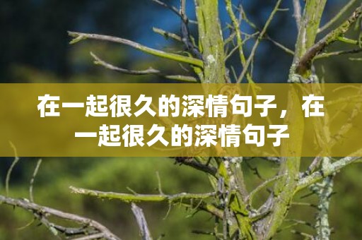 在一起很久的深情句子，在一起很久的深情句子