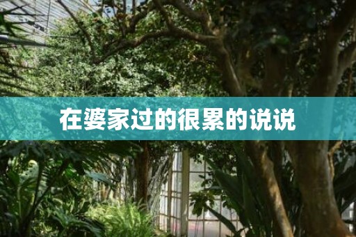 在婆家过的很累的说说