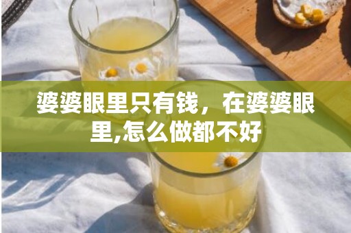 婆婆眼里只有钱，在婆婆眼里,怎么做都不好