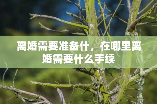 离婚需要准备什，在哪里离婚需要什么手续