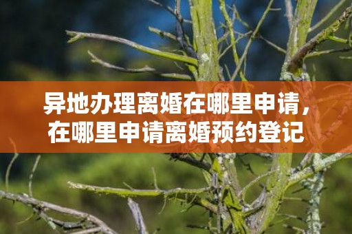 异地办理离婚在哪里申请，在哪里申请离婚预约登记