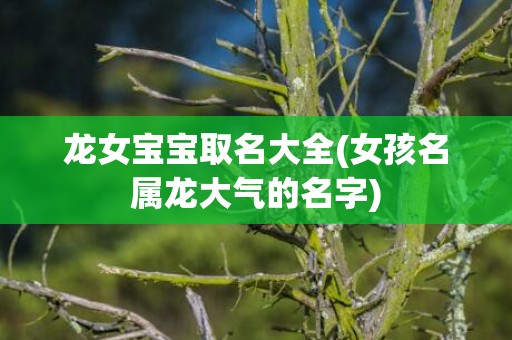 龙女宝宝取名大全(女孩名属龙大气的名字)