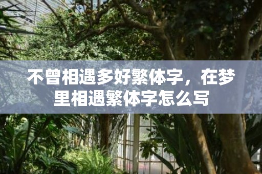 不曾相遇多好繁体字，在梦里相遇繁体字怎么写
