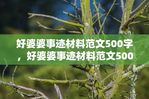 好婆婆事迹材料范文500字，好婆婆事迹材料范文500字