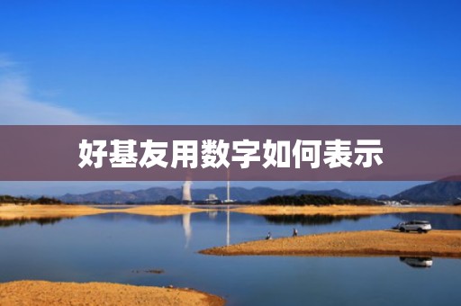 好基友用数字如何表示