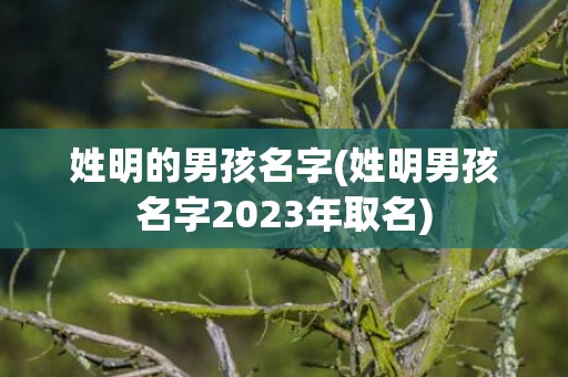 姓明的男孩名字(姓明男孩名字2023年取名)