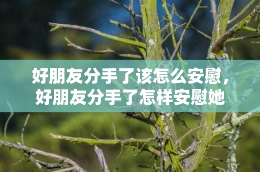 好朋友分手了该怎么安慰，好朋友分手了怎样安慰她