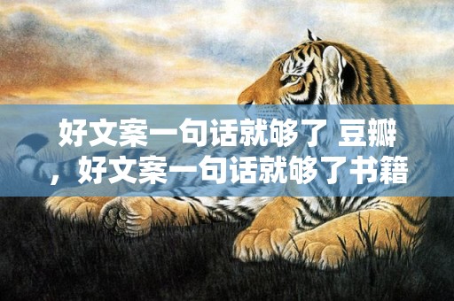 好文案一句话就够了 豆瓣，好文案一句话就够了书籍