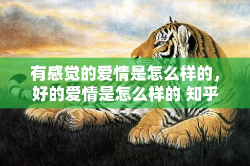 有感觉的爱情是怎么样的，好的爱情是怎么样的 知乎