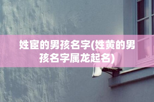 姓宦的男孩名字(姓黄的男孩名字属龙起名)