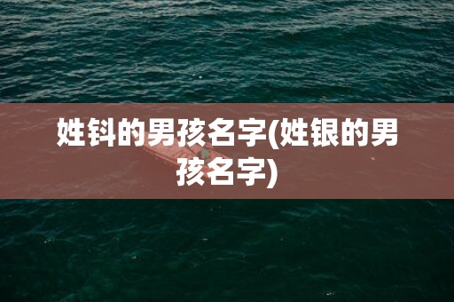 姓钭的男孩名字(姓银的男孩名字)