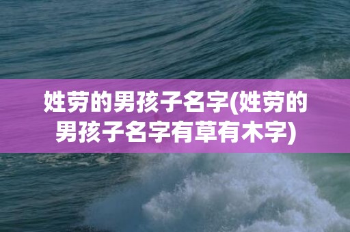 姓劳的男孩子名字(姓劳的男孩子名字有草有木字)