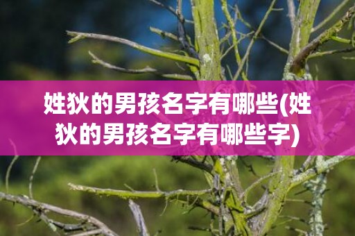 姓狄的男孩名字有哪些(姓狄的男孩名字有哪些字)