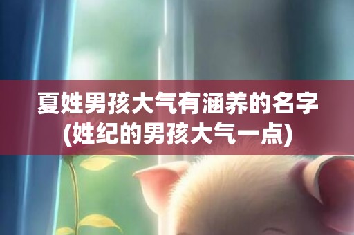 夏姓男孩大气有涵养的名字(姓纪的男孩大气一点)