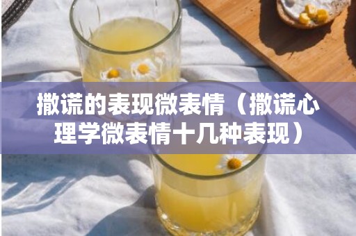 撒谎的表现微表情（撒谎心理学微表情十几种表现）