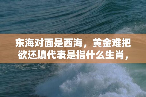 东海对面是西海，黄金难把欲还填代表是指什么生肖，最佳答案落实