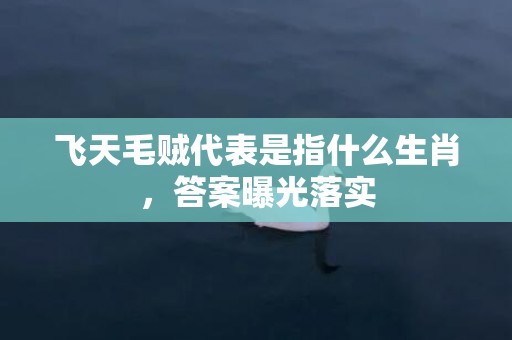 飞天毛贼代表是指什么生肖，答案曝光落实
