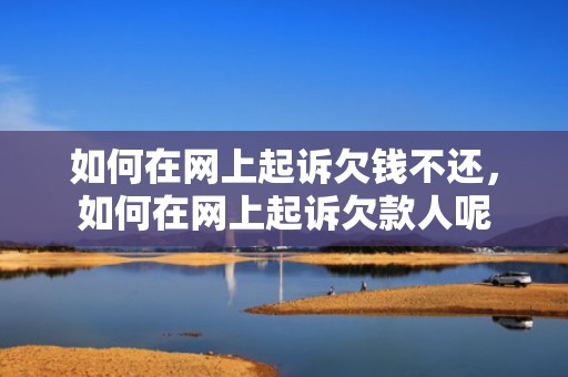如何在网上起诉欠钱不还，如何在网上起诉欠款人呢