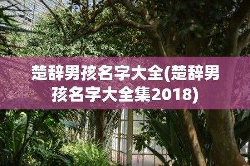 楚辞男孩名字大全(楚辞男孩名字大全集2018)