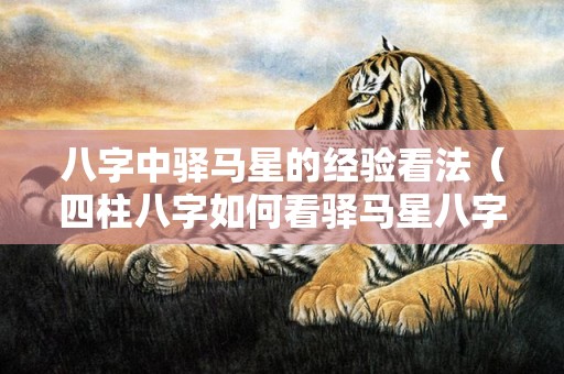 八字中驿马星的经验看法（四柱八字如何看驿马星八字的驿马星怎么查）