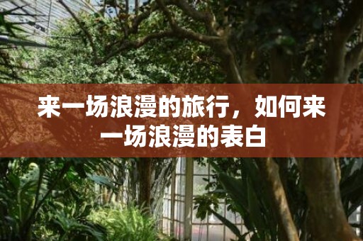 来一场浪漫的旅行，如何来一场浪漫的表白