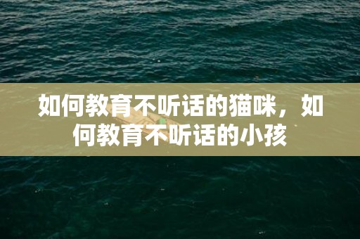 如何教育不听话的猫咪，如何教育不听话的小孩