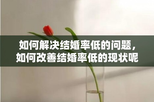 如何解决结婚率低的问题，如何改善结婚率低的现状呢