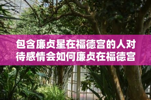 包含廉贞星在福德宫的人对待感情会如何廉贞在福德宫下面有个...的词条
