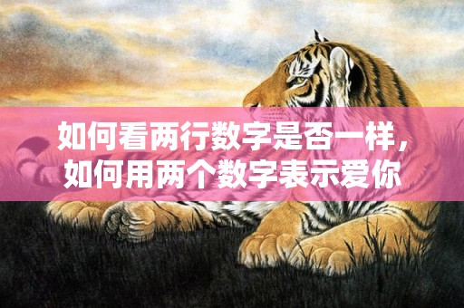 如何看两行数字是否一样，如何用两个数字表示爱你